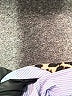 Equipment 100% Cotton Animal Print Stripes Blue Long Sleeve Button-Down Shirt Size L - photo 6