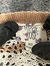 Hippie Rose Tan Pullover Sweater Size XS - photo 7