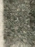 Studio 1 Paisley Black Cocktail Dress Size 8 - photo 9