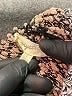 Mystree Tweed Brown Pullover Sweater Size L - photo 7