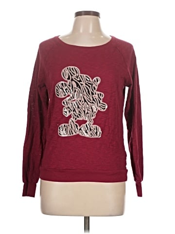 Disney Parks Sweatshirt (view 1)