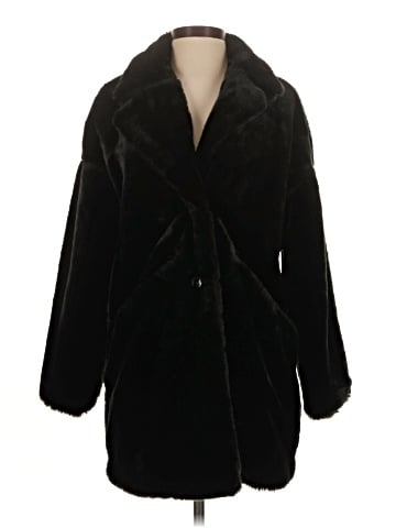 Zara TRF Coat (view 1)