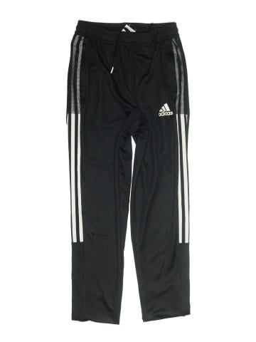 Adidas Track Pants (view 1)
