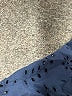 Jag Paisley Blue Long Sleeve Button-Down Shirt Size S - photo 8