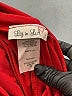 Assorted Brands Red Active Pants Size 1X - photo 7