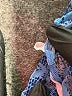 Lularoe Paisley Blue Active Pants Size 1X - photo 8