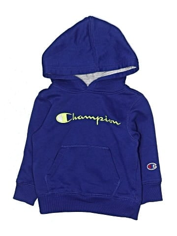 Champion Zip Up Hoodie (view 1)