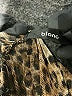 Blanc Silver Bodysuit Size L - photo 3