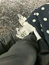Assorted Brands Polka Dots Black Casual Skirt Size EU (IT) 46 / US 10 - photo 5
