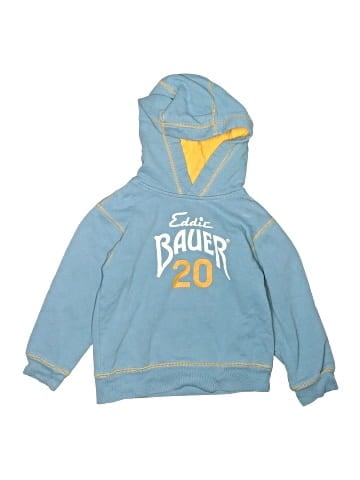 Eddie Bauer Pullover Hoodie (view 1)
