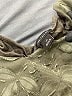 Ann Taylor Green Sleeveless Blouse Size XS - photo 7
