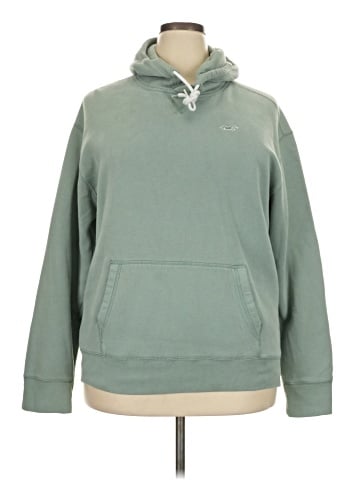 Hollister Pullover Hoodie (view 1)