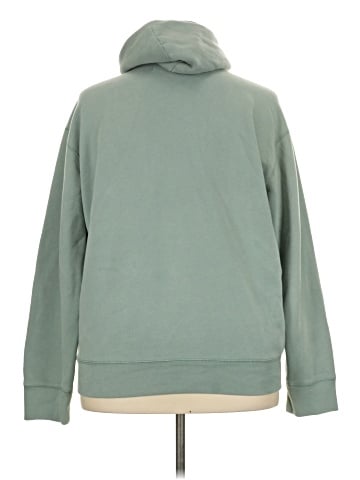 Hollister Pullover Hoodie (view 2)