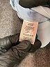 Ann Taylor Blue Casual Pants Size 0 - photo 7