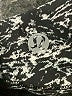 Lululemon Athletica Graphic Silver Black Active Skort Size 6 - photo 3