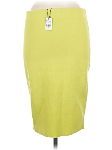 Express Casual Skirt (view 2)
