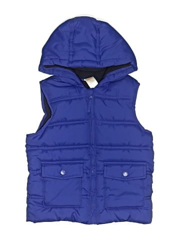 Gymboree Vest (view 1)