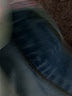 AGOLDE Blue Jeans Size 26 waist - photo 5
