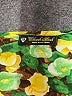 Assorted Brands Green Short Sleeve Blouse Size S - photo 7