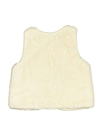 H&M Faux Fur Vest (view 2)