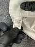 C established 1946 Solid White Ivory Shorts Size 12 - photo 4