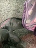 Perceptions Polka Dots Black Casual Dress Size XL - photo 8