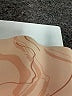 Gymshark Tan Board Shorts Size M (estimated) - photo 3
