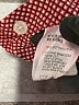 Cinch 100% Cotton Checkered-gingham Red Long Sleeve Button-Down Shirt Size 6 - 8 - photo 4