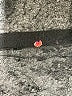 Assorted Brands Black Cardigan Size S (estimated) - photo 7