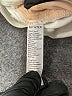 SPANX Solid White Casual Pants Size XL - photo 5