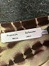 Proenza Schouler 100% Cotton Tie-dye Green Pullover Sweater Size M - photo 7
