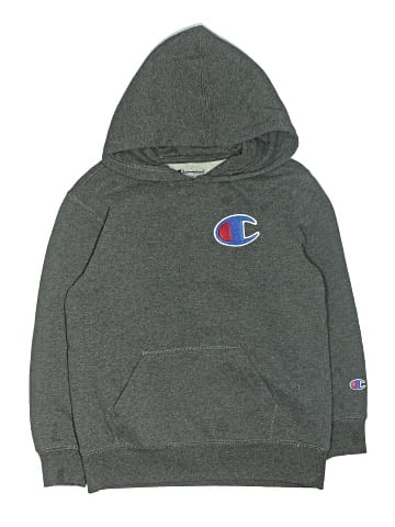 Champion Pullover Hoodie (view 1)