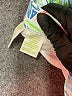Lilly Pulitzer Tropical Blue Casual Pants Size 6 - photo 8