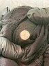 Lululemon Athletica Black Active Pants Size 4 - photo 8
