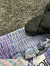 Koret Plaid Blue Casual Skirt One size - photo 5