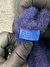 J. McLaughlin 100% Nylon Blue Coat Size XS - photo 7