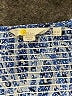 Boden Paisley Blue Casual Dress Size 2 - photo 7