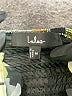 Lulus Tropical Gray Cocktail Dress Size M - photo 4