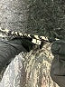 Assorted Brands Animal Print Gold Jumpsuit Size L - photo 4