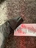 Signature Studio Blue Jeans Size 10 - photo 8