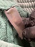 Assorted Brands Solid Teal Track Pants Size M - photo 8