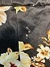 Emery Rose Floral Gold Leggings Size 1X - photo 3