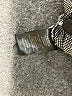 dalia Solid Gray Casual Pants Size 4 - photo 8