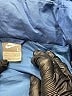Nike Solid Blue Snow Jacket Size 12 - 13 - photo 3