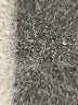 Just Perfect Collection Animal Print Silver Casual Pants Size S - photo 4