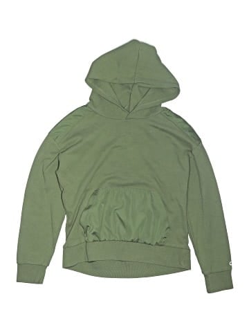 Gap Fit Pullover Hoodie (view 1)
