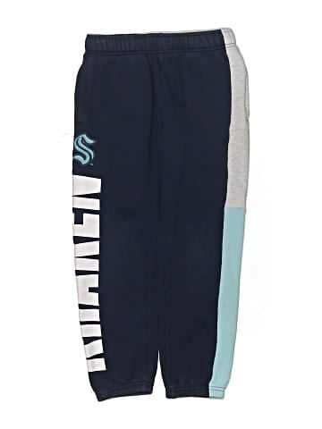 American Eagle Outfitters Sweatpants (view 1)