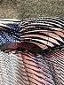 Assorted Brands Chevron-herringbone Blue Cocktail Dress Size S (estimated) - photo 7