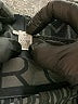 Under Armour Black Athletic Shorts Size S (estimated) - photo 4