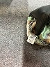 Collection By Cezele Plaid Green Fleece Size M - photo 7